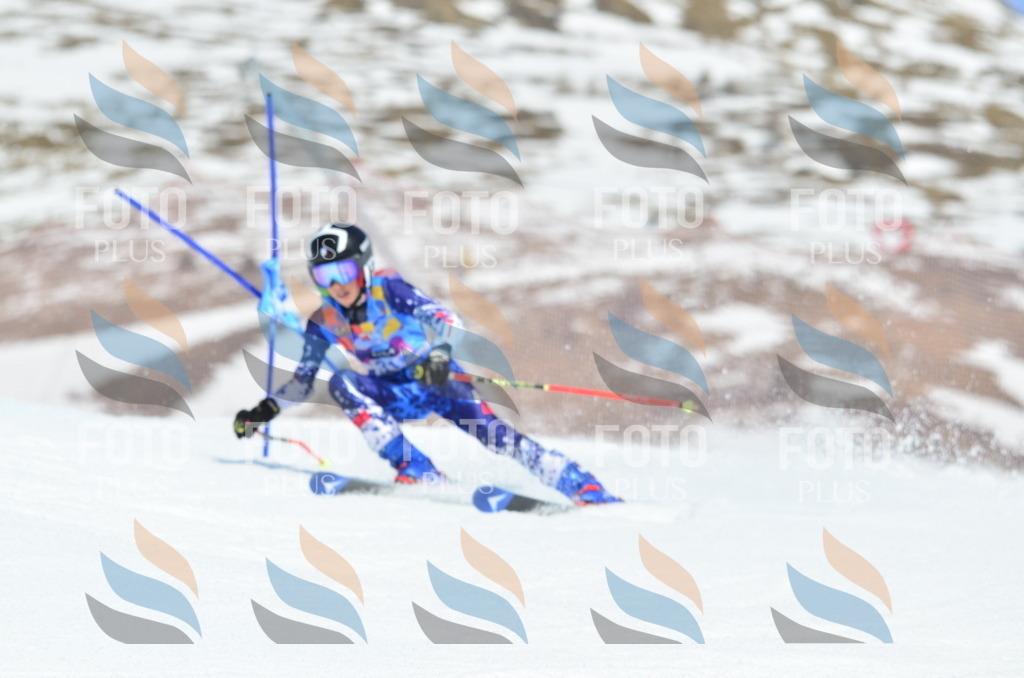 _ELE2343 | holidayphoto