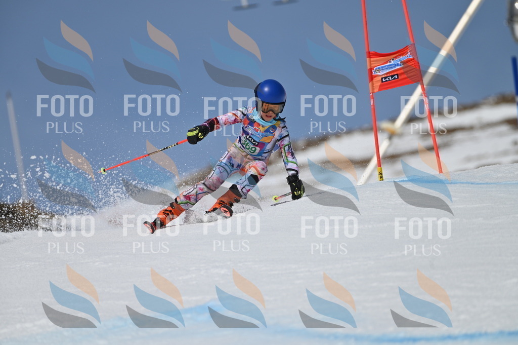 BGV_7294 | holidayphoto