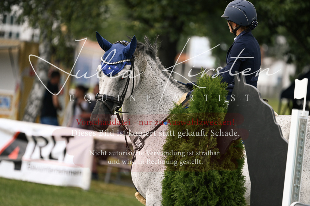 DSC_0929 | Pferde- und Turnierfotografie in Westsachsen. Pferdeportraits, Auftragszeichnungen und intuitive Kunst.