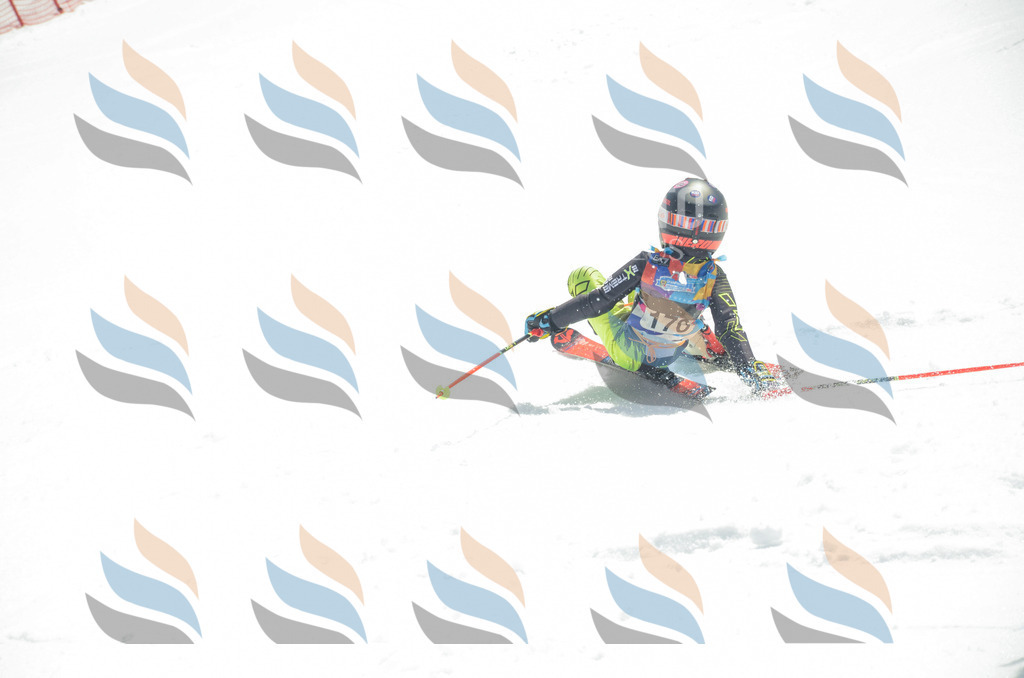 _ELE6547 | holidayphoto