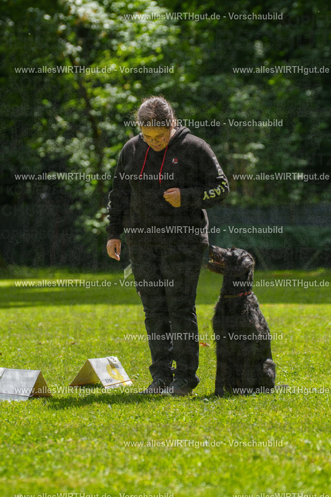 @allesWIRTHgut_Tierfotografie - www.allesWIRTHgut.de - 7R505306 | Professionelle Tierfotografie in Mönchengladbach von Daniel Wirth (allesWIRTHgut). Liebevolle & natürliche Bilder von Hunden & Katzen für unvergessliche Erinnerungen.