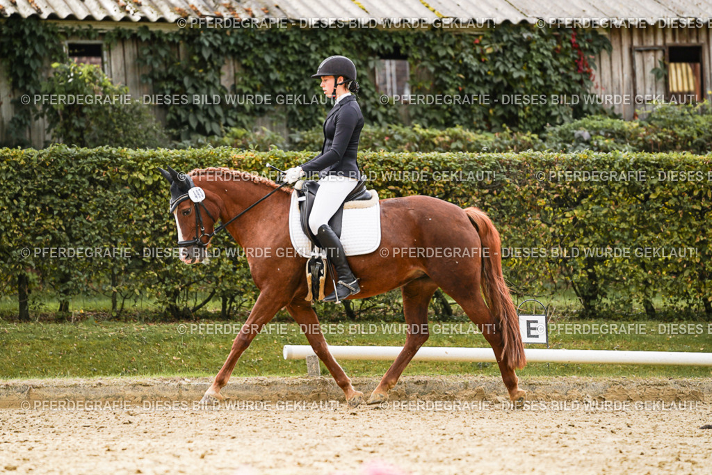 DSC00701 | Pferdegrafie