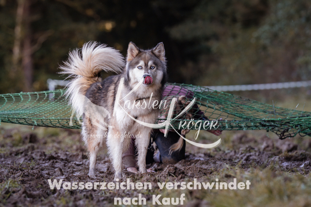 1029_ZZ91616 | kk-dogfotos
