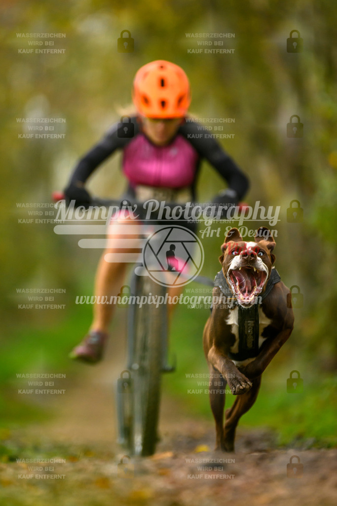 MompixPhotography_20TSB_E6_DS1-72 | PayLife