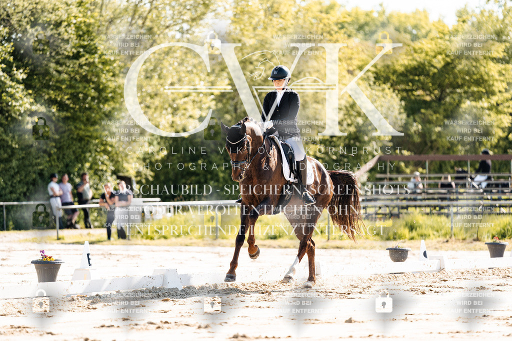 CK909168 | Turnierfotografie Pferdefotografie Trier Rheinland-Pfalz Pferdesport Reitsport Tierfotografie Sportfotografie Pferdevideo Pferdevideografie Equestrianvideography equestrianphotography  - Realisiert mit Pictrs.com