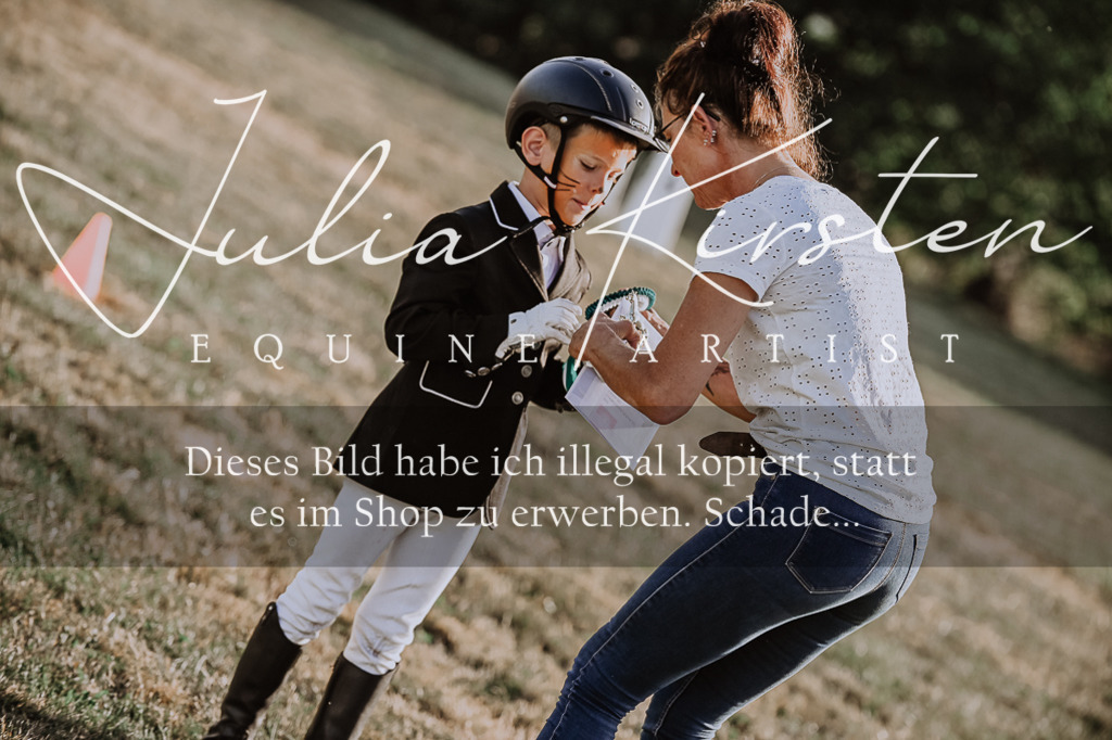 DSC_0241 | Pferde- und Turnierfotografie in Westsachsen. Pferdeportraits, Auftragszeichnungen und intuitive Kunst.