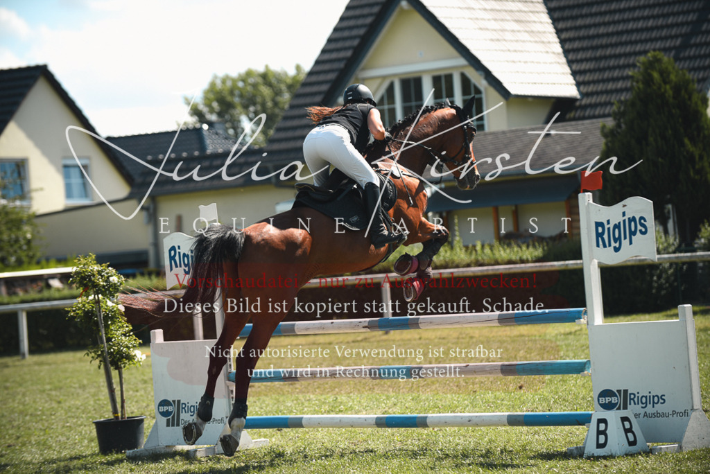 DSC_7099 | Pferde- und Turnierfotografie in Westsachsen. Pferdeportraits, Auftragszeichnungen und intuitive Kunst.