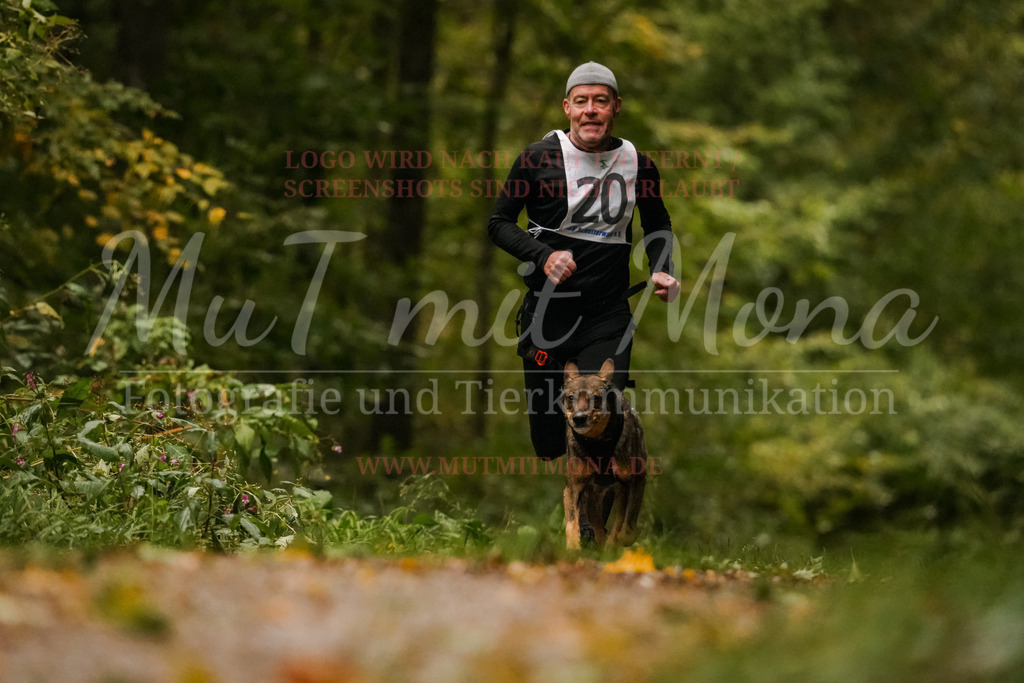 20251005_THS_Turnier-167 | MuT (Mensch und Tier) mit Mona - Fotografie und Tierkommunikation - Realisiert mit Pictrs.com