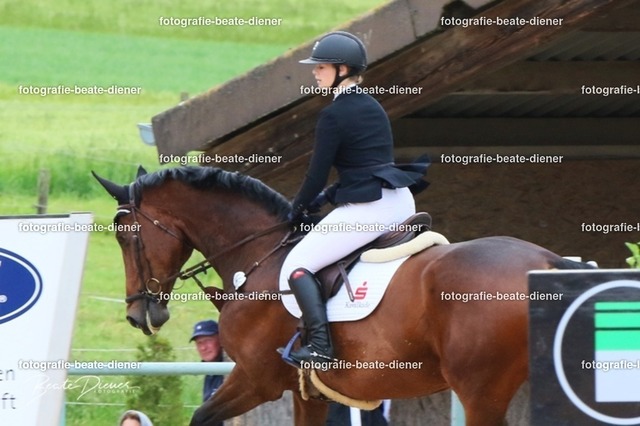 OHT2091 | Fotografie, Tiere, Hunde, Katzen, Pferde, Sportfotografie, Fotosession, Tierfotografie, Turnierfotografie, Fotografin, Fotograf - Realisiert mit Pictrs.com