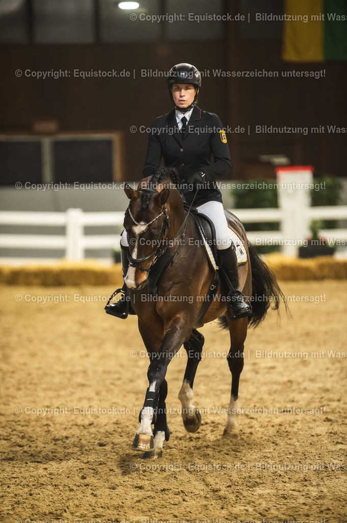 20240302_Hengstvorstellung_Marbach_TOMsPiC_1372-2 | equistock