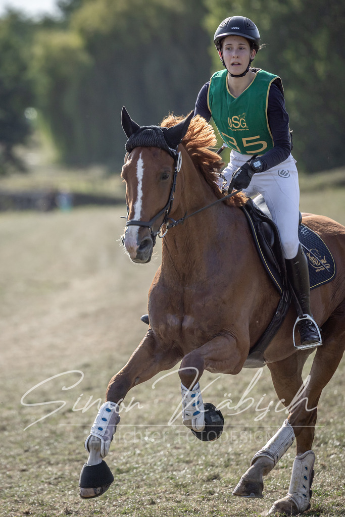 20250907-_3LI3677 | Tierfotografie Pferde, Hunde, Katzen, Haustiere.
Turnierfotografie Reitturniere, Reiten, Springreiten, Dressur in Hanau, dem Main-Kinzig-Kreis und dem Rhein-Main- Gebiet um Frankfurt