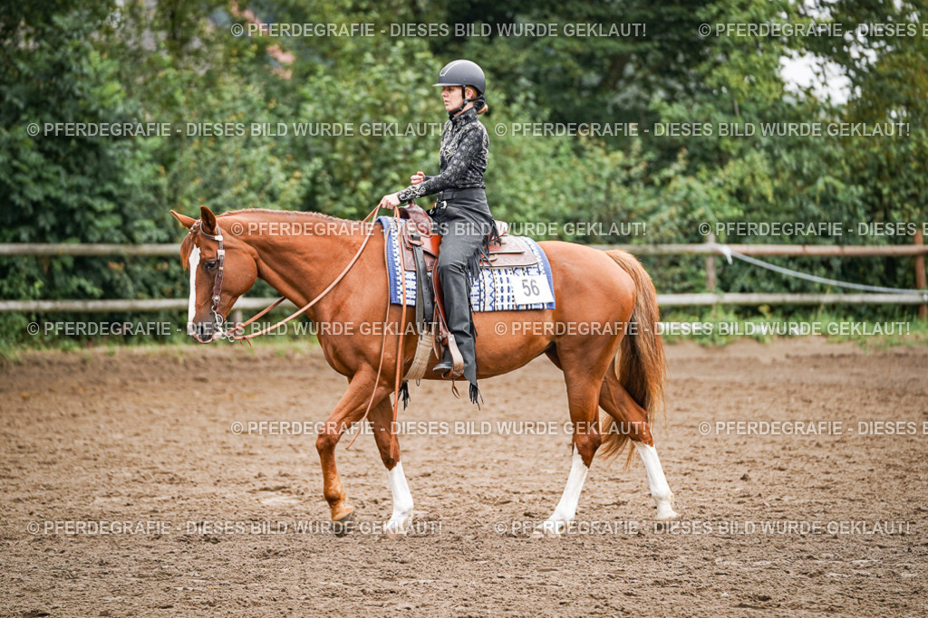 DSC02381 | Pferdegrafie