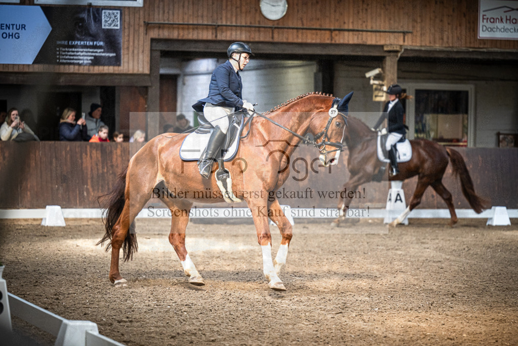 DOS_0529 | Entdecke hochwertige Reitturnierfotos von Foto Oger. Professionell, emotional und authentisch – jetzt Lieblingsmomente im Shop bestellen.Deutschlandweite Turnierfotografie. - Realisiert mit Pictrs.com