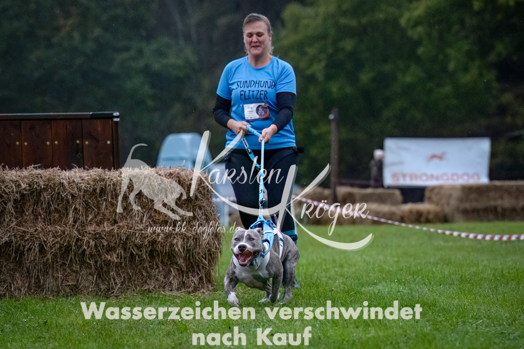 0812-_ZZ90636-Bearbeitet-Bearbeitet | kk-dogfotos