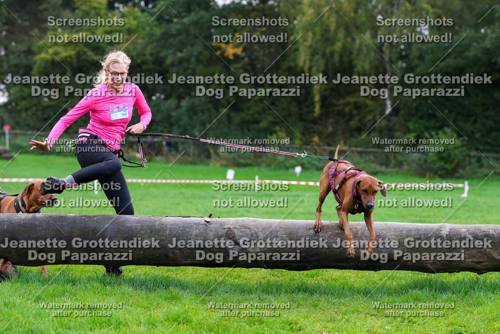 Dog Paparazzi -  SD1026-941 | Dog Paparazzi Jeanette Grottendiek Fotografie & Videografie - Realisiert mit Pictrs.com