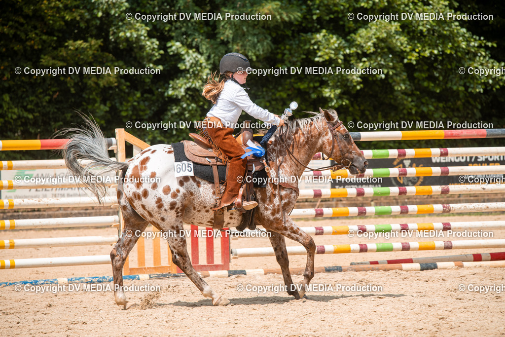 ZS2_8233 | dv-media-shop - Realisiert mit Pictrs.com