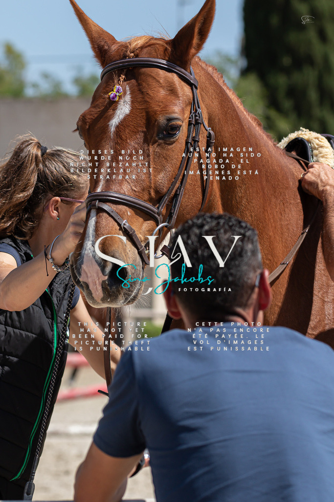 IMG_0568 | s-jay-photography - Realisiert mit Pictrs.com