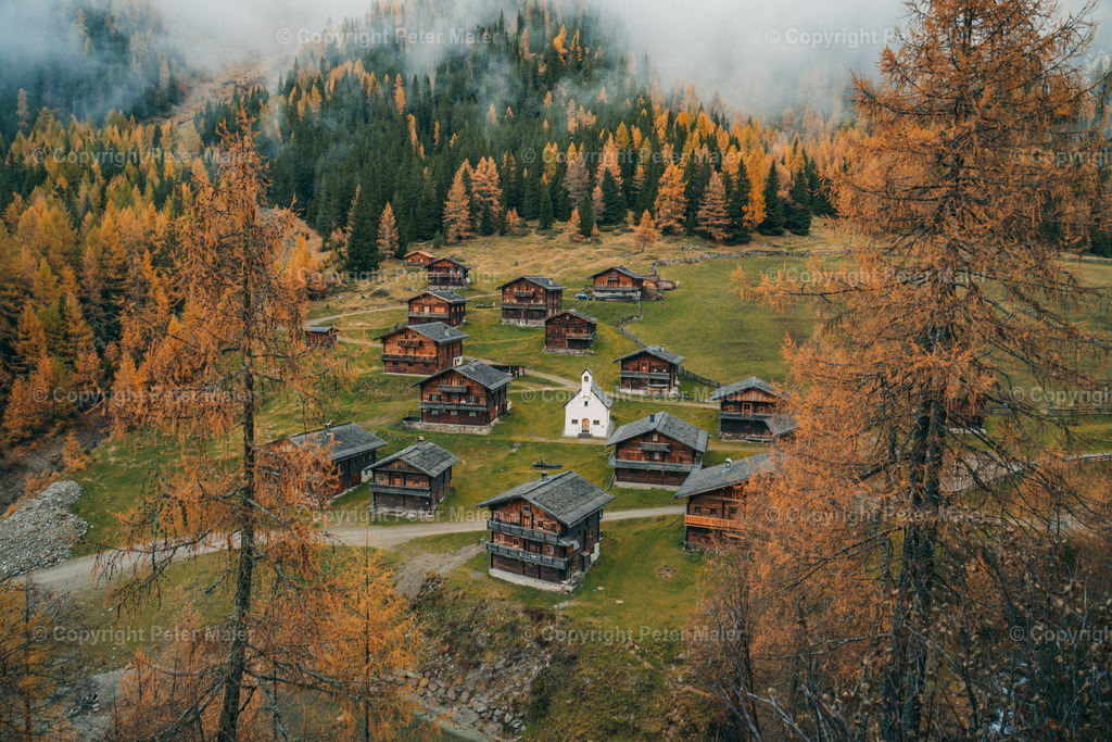 Oberstalleralm_Herbst_2022-195 | piet_flosse