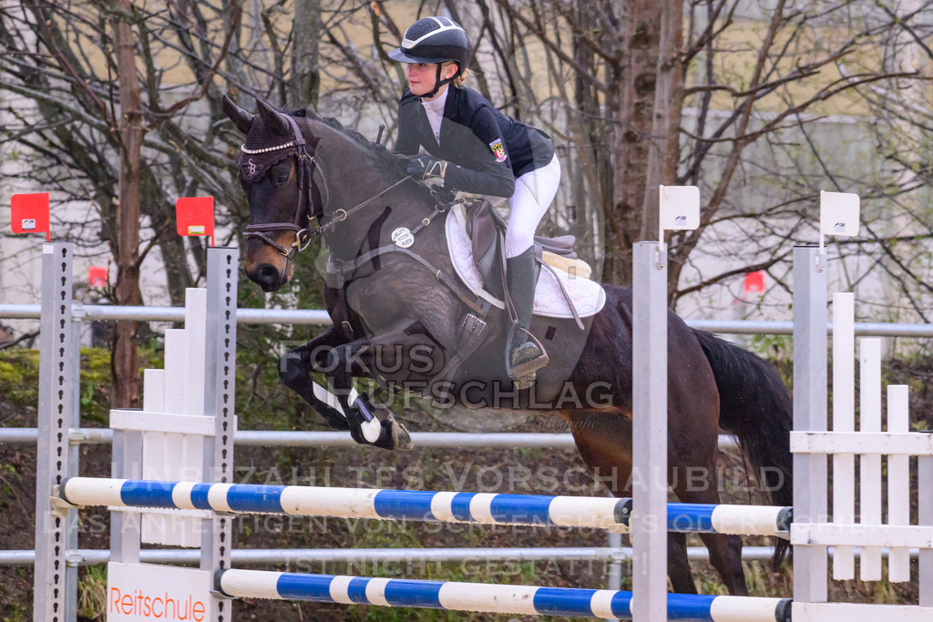 10042026-Mammendorf-Prfg14-0383 | Fokus Hufschlag Fotografie - Realisiert mit Pictrs.com
