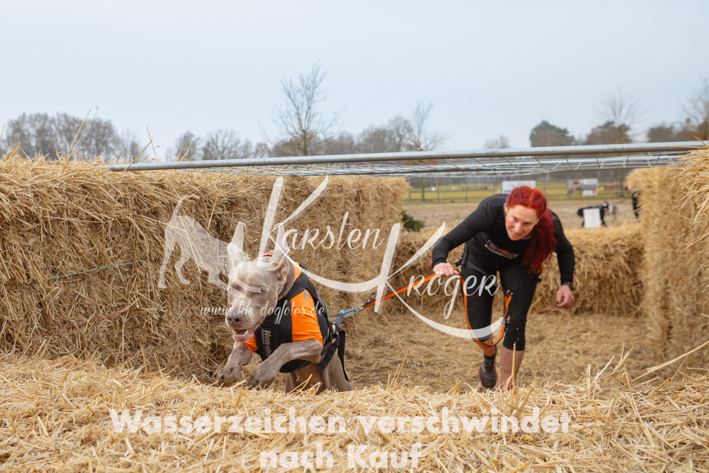 0817_ZZ92345 | kk-dogfotos