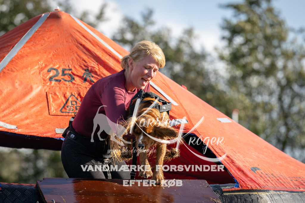 1437-94641 | kk-dogfotos