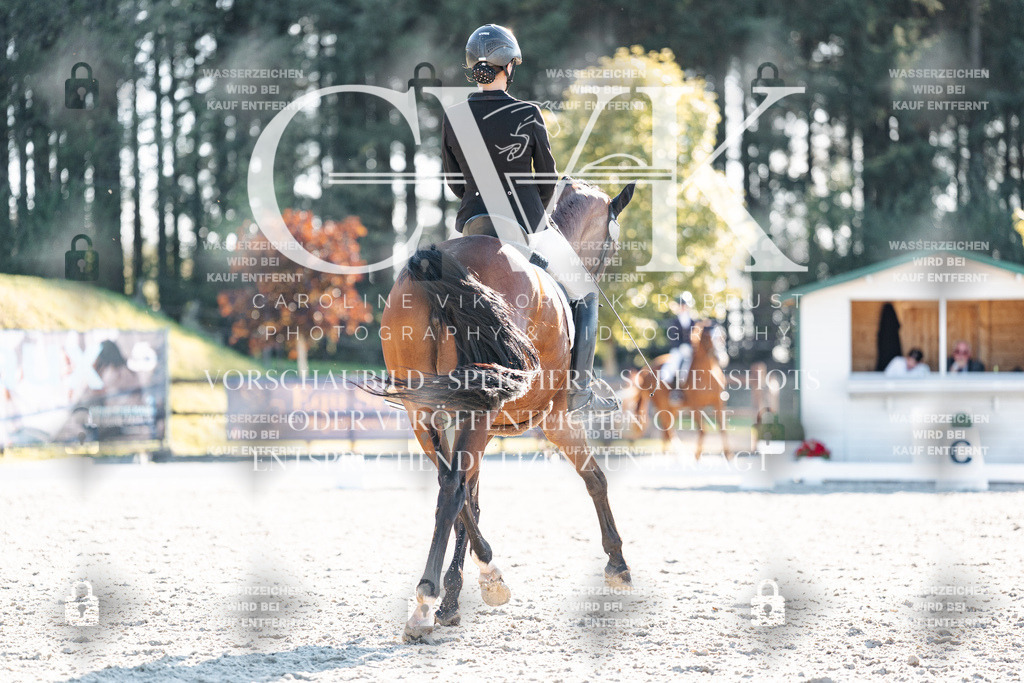 CK906742 | Turnierfotografie Pferdefotografie Trier Rheinland-Pfalz Pferdesport Reitsport Tierfotografie Sportfotografie Pferdevideo Pferdevideografie Equestrianvideography equestrianphotography  - Realisiert mit Pictrs.com