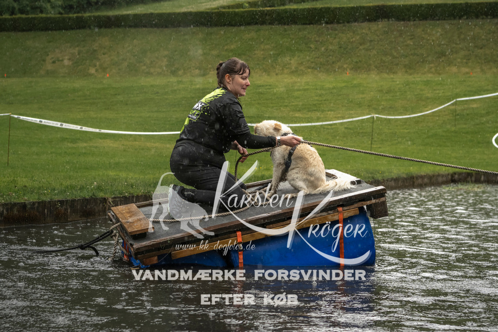 1334_ZZ99139 | kk-dogfotos