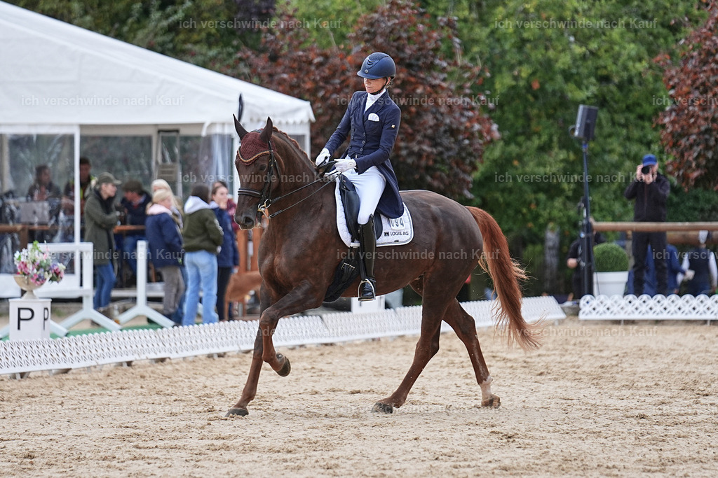 8_1-094-Klasse S_  -Marixx-4134 | working equitationturnier fotograf videograf stoibphotography marixx film working equitation deutschland reitsport turnierfotografie eventfotografie equestrian events