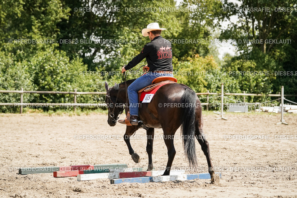 DSC09458 | Pferdegrafie