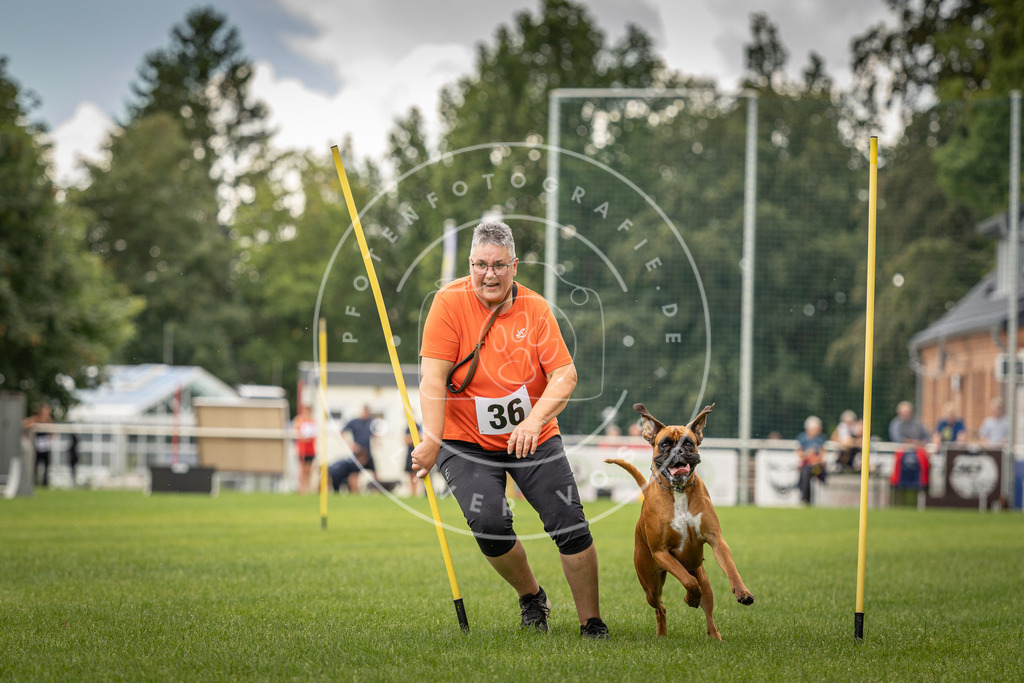 Pfotenfotografie_DV3A2686 | Hundefotografie, Tierfotograf, Pfotenfotografie, Fotoshooting Hund, Hunde Portrait, Hundesport, Hundeportraits, Heideshooting, Hunde, Sportfotograf, Hundefotograf, Turnierhundsport, THS,  - Realisiert mit Pictrs.com