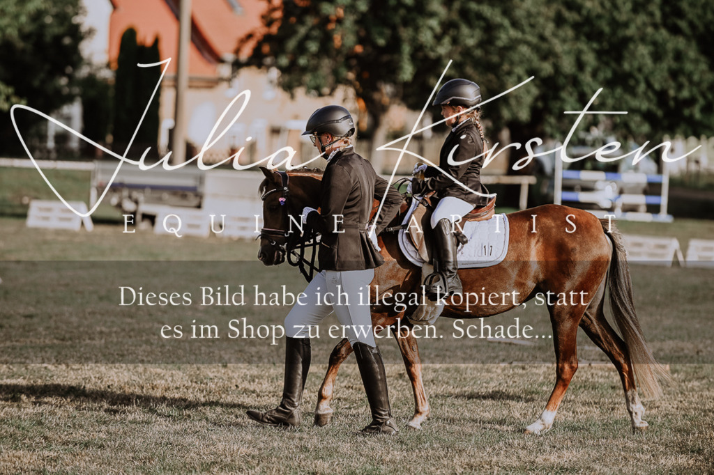 DSC_0110 | Pferde- und Turnierfotografie in Westsachsen. Pferdeportraits, Auftragszeichnungen und intuitive Kunst.