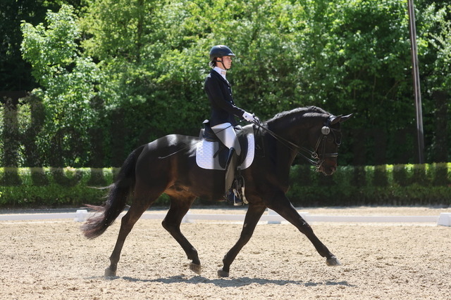 Böblingen_2025_Prfg.Nr.08_Dressurprüfung_Kl.M_Nürnberger Burgpokal_Alena Weinberger_Don Dynamic (7) | Alle Fotos der Reiterjournal Fotografin Doris Matthaes im Reiterjournal Online-Fotoshop. - Realisiert mit Pictrs.com