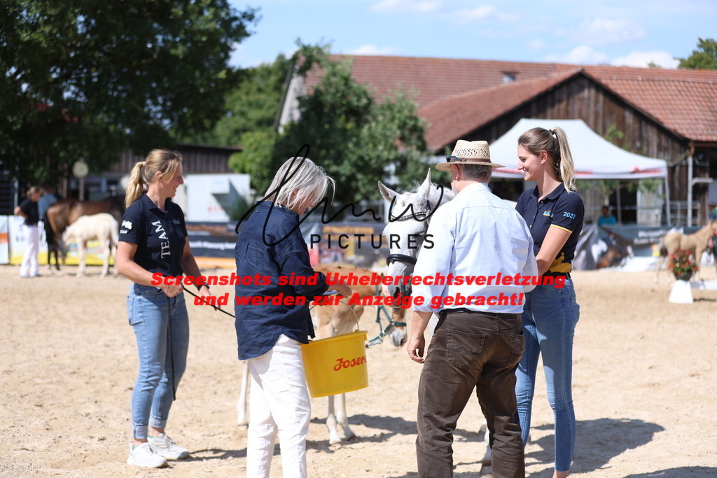 Fohlenschau_Schwäbisch_Hall_Ponys_SIEGERFOHLEN_KN 43_2 | lmwpictures - Realisiert mit Pictrs.com