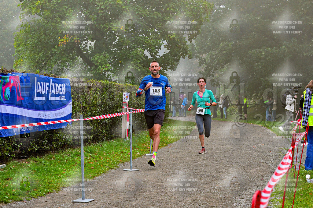 Z8N_1310 | la-psv - Realisiert mit Pictrs.com