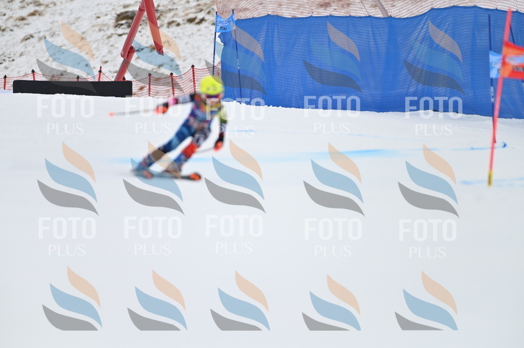 BGV_2646 | holidayphoto