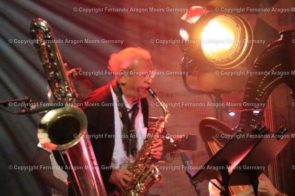 IMG_4599 | aragon-pics - Realisiert mit Pictrs.com