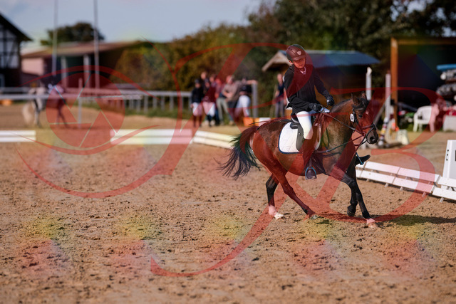 2026_10_03_Siefer-Hof_122450_Z81_25324673 | Professionelle Reitsport-, Turnier- und Eventfotografie von Robert Broda. Galerien mit ausgewählten und bearbeiteten Bildern direkt online ansehen und bestellen.