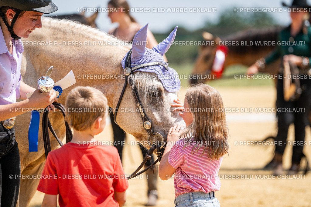 DSC01410 | Pferdegrafie