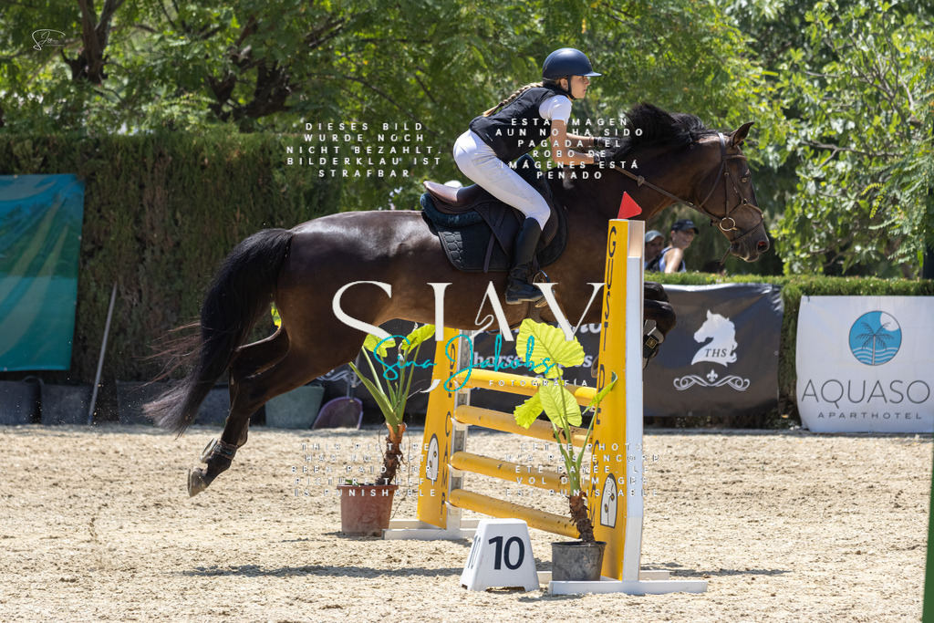 IMG_1271 | s-jay-photography - Realisiert mit Pictrs.com