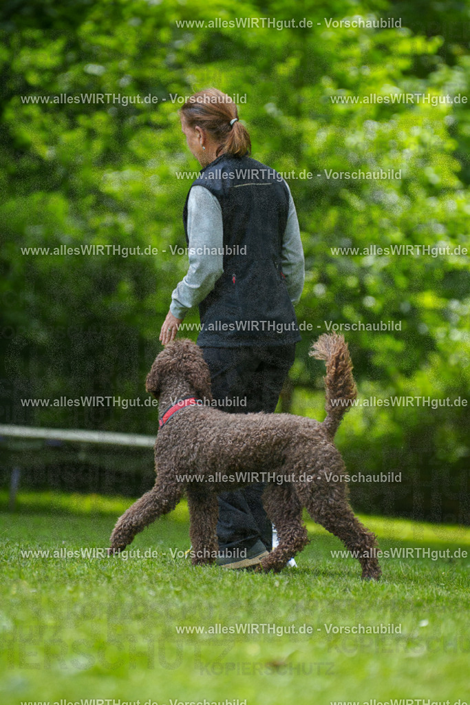 @allesWIRTHgut_Tierfotografie - www.allesWIRTHgut.de - 7R501068 | Professionelle Tierfotografie in Mönchengladbach von Daniel Wirth (allesWIRTHgut). Liebevolle & natürliche Bilder von Hunden & Katzen für unvergessliche Erinnerungen.