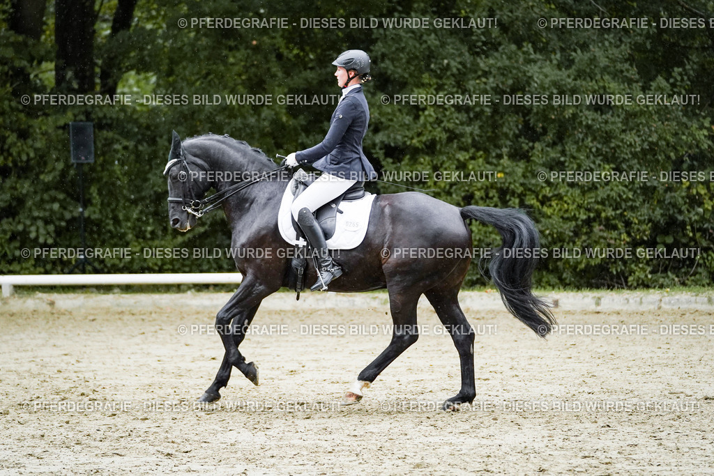 DSC00161 | Pferdegrafie