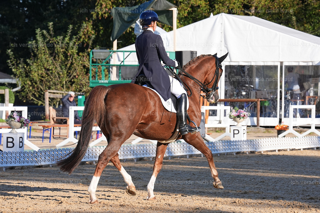 09_1-195-DRESSUR  S_  -Marixx-5654 | working equitationturnier fotograf videograf stoibphotography marixx film working equitation deutschland reitsport turnierfotografie eventfotografie equestrian events