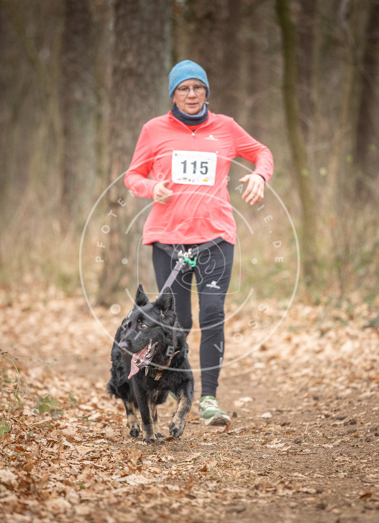 Pfotenfotografie_DV3A7739 | Hundefotografie, Tierfotograf, Pfotenfotografie, Fotoshooting Hund, Hunde Portrait, Hundesport, Hundeportraits, Heideshooting, Hunde, Sportfotograf, Hundefotograf, Turnierhundsport, THS,  - Realisiert mit Pictrs.com