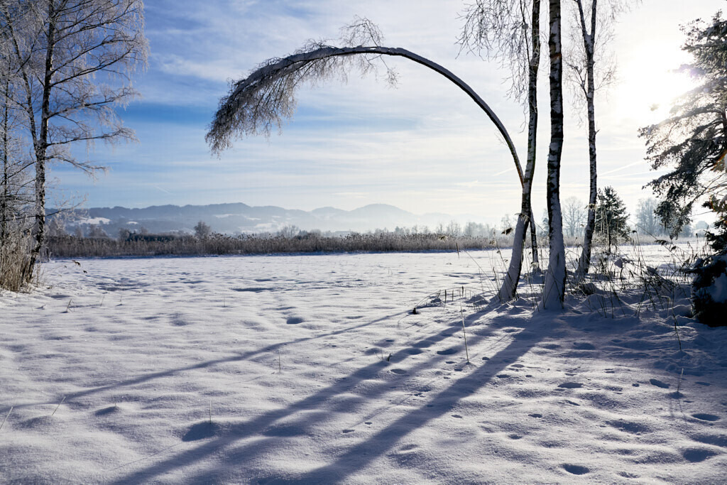 Das Tor | Ich erzähle Geschichten als Autor und als Fotograf. Hier finden Sie hochwertige Naturfotografie, Reisefotografien und Bilder aus dem urbanen Lebensraum.  - Realisiert mit Pictrs.com
