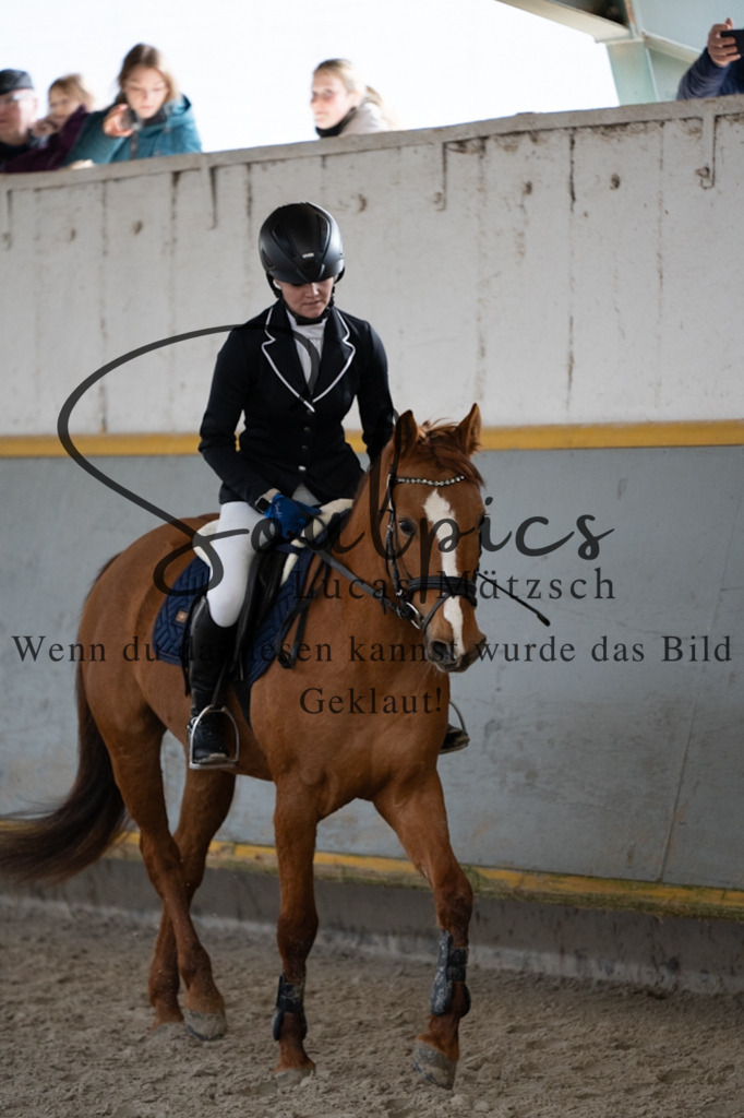 A7V04008 | Pferdefotograf