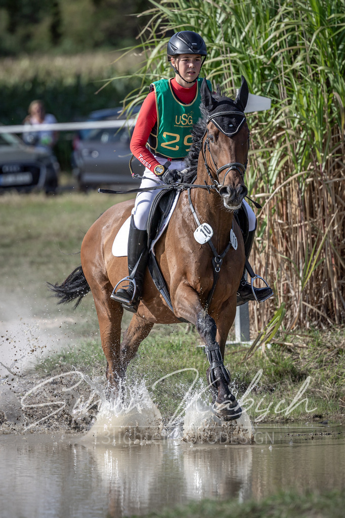 20250907-_3LI3012 | Tierfotografie Pferde, Hunde, Katzen, Haustiere.
Turnierfotografie Reitturniere, Reiten, Springreiten, Dressur in Hanau, dem Main-Kinzig-Kreis und dem Rhein-Main- Gebiet um Frankfurt