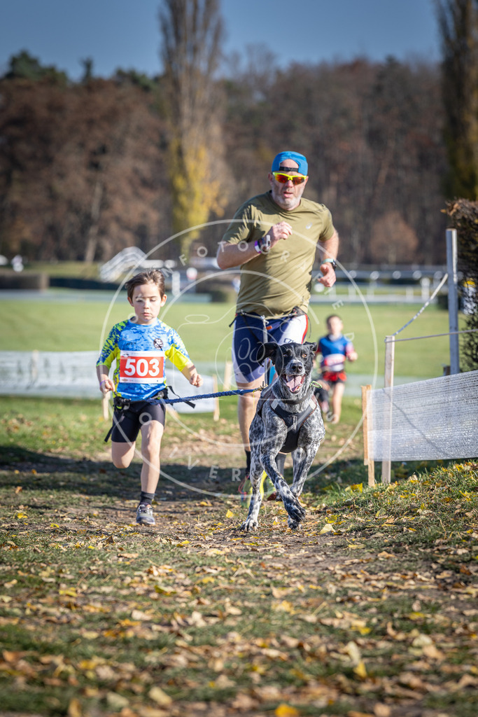 CaniXpix_DV3A7860 | Hundefotografie, Tierfotograf, Pfotenfotografie, Fotoshooting Hund, Hunde Portrait, Hundesport, Hundeportraits, Heideshooting, Hunde, Sportfotograf, Hundefotograf, Turnierhundsport, THS,  - Realisiert mit Pictrs.com