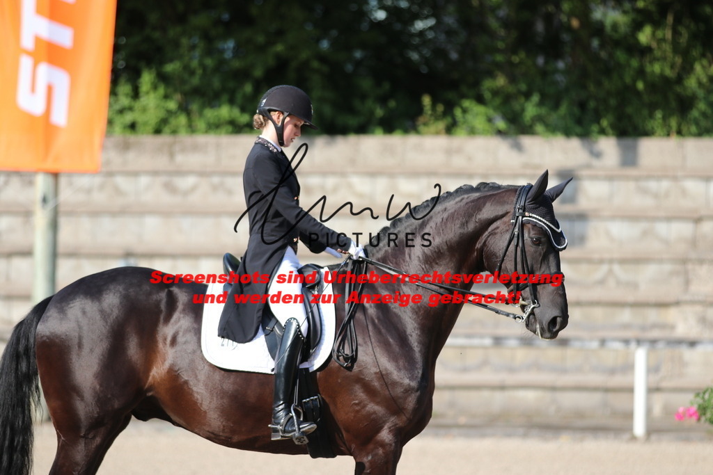 IMG_8786 | lmwpictures - Realisiert mit Pictrs.com