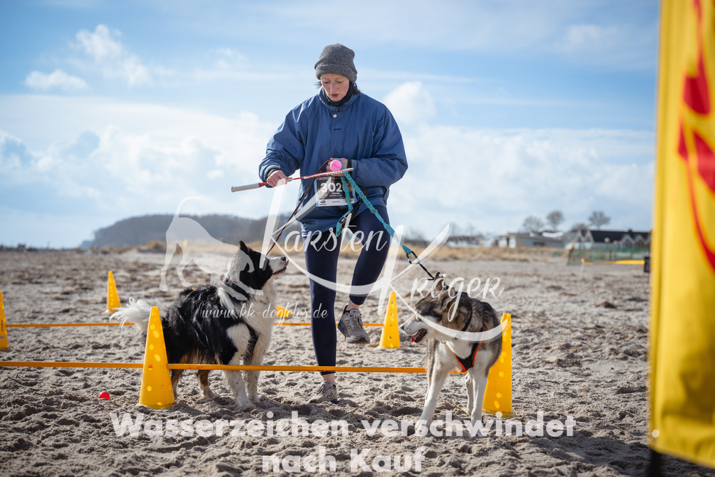 1245_ZZ98481 | kk-dogfotos