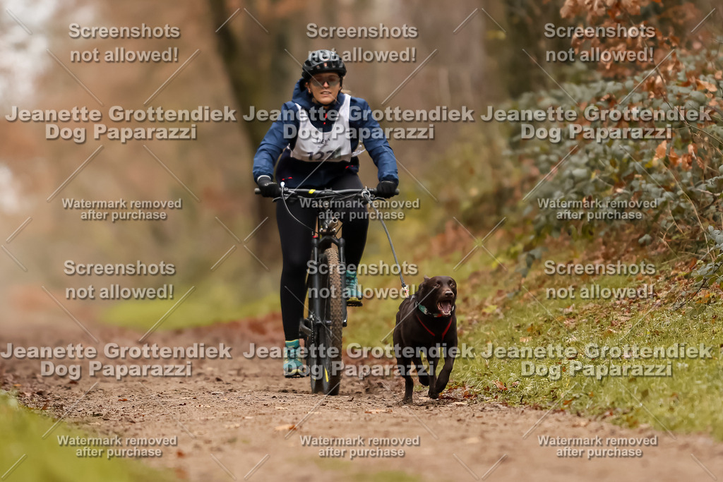 Dog Paparazzi - Speedhunter Mannheim  2025-340 | Dog Paparazzi Jeanette Grottendiek Fotografie & Videografie